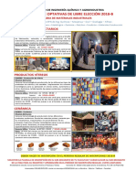 Oferta Optativas 2018 B PDF