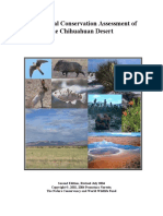 Chihuahuan Desert Report
