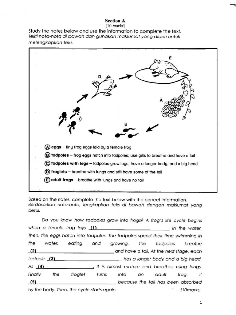 SOALAN-PAT-2018-KSSR-T4-BAHASA-INGGERIS-KERTAS-2-1.pdf