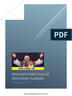 1. Resumen prácticas Anatomía F URJC