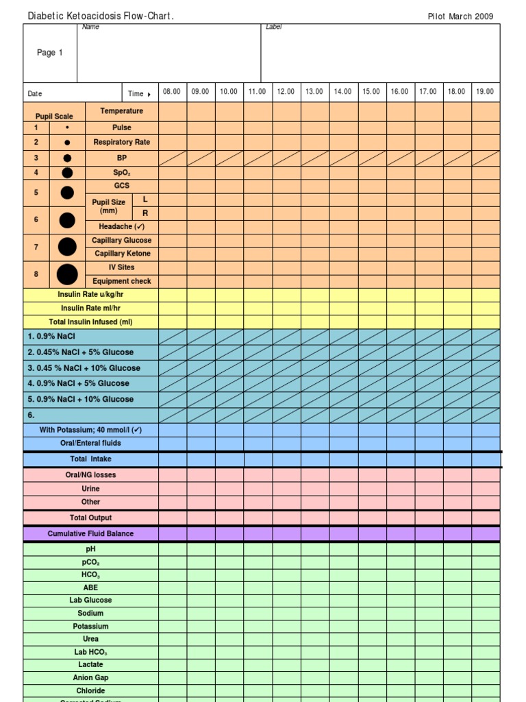 Diabetic Ketoacidosis Management Chart | PDF | Endocrine | Clinical ...
