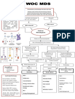 Woc MDS