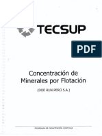 Tecsup Concentracion de Minerales Por Flotacion