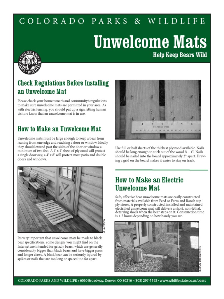 Bear Mats PDF Wire Battery Charger