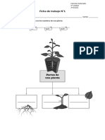 Guia de Trabajo Las Plantas