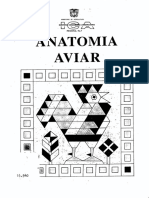 Anatomía Aviar.