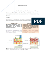 Tincion-de-Gram.pdf