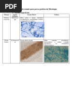Roteiro de estudo para prova prática de Micologia