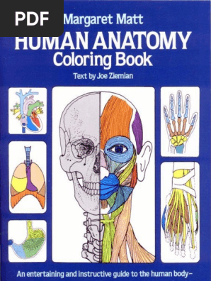 Download Human Anatomy Coloring Book Pdf