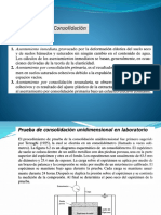 Consolidación PDF
