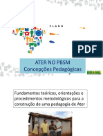 Concepções Pedagogicas