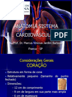 Anatomia Do Sistema Cardiovascular