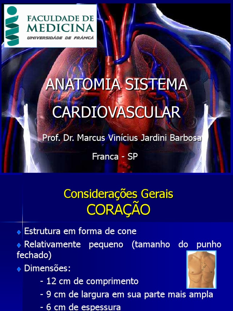 Anatomia Do Sistema Cardiovascular | PDF | Coração | Eletrocardiografia
