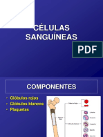 Celulas Sanguíneas