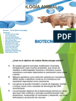 Biotec Animal