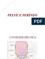 Aula de Pelve e Períneo PDF