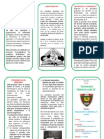 Triptico Principios Generales de Derecho