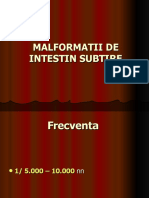 Malformatii de Intestin Subtire