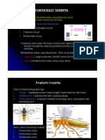 Komunikasi Insekta