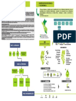 INSTRUMENTOS DE GESTION - ZEE, Realizados Por La UANCV, Portillo Ruelas Wendy