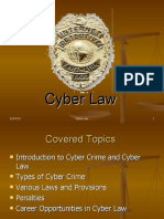 Cyber Law2