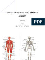 Muscular and Skeletal System