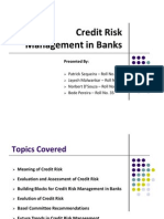 Credit Risk Management in Banks