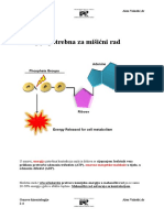 Energija Potrebna Za Misični Rad