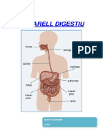 Aparell Digestiu