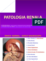 Renal FOTO