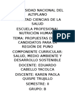 Universidad Nacional Del Altiplano - Investidgacion Segunda