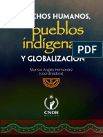 DH Indigenas-Globalizacion PDF