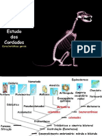 Gênero, Sexo e Sexualidade