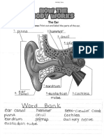 ear diagram test
