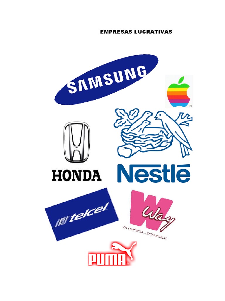 EMPRESAS LUCRATIVAS.docx