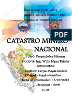 Catastro Minero Nacional