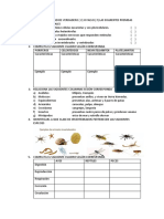 Características y clasificación de animales