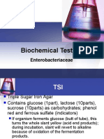Biochemical Testing: Enterobacteriaceae