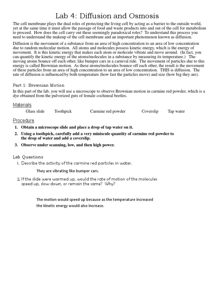 Answer Key Lab Diffusion and Osmosis PDF Osmosis Cell Membrane