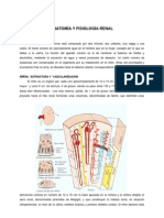 Fisiologia Renal