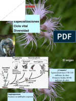 Diferencias Magno y Liliop