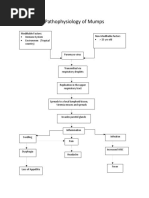Respiratory Pathophys | PDF | Otorhinolaryngology | Respiratory System