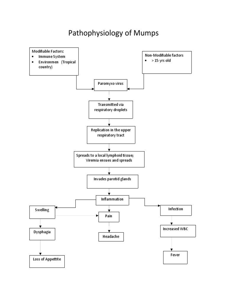 Mumps Pathophysiology Overview | PDF