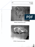 NTP 201.003-2001 Carne y Productos Carnicos-Definiciones, Clasificaciones y Requisitos de Carcasas 2