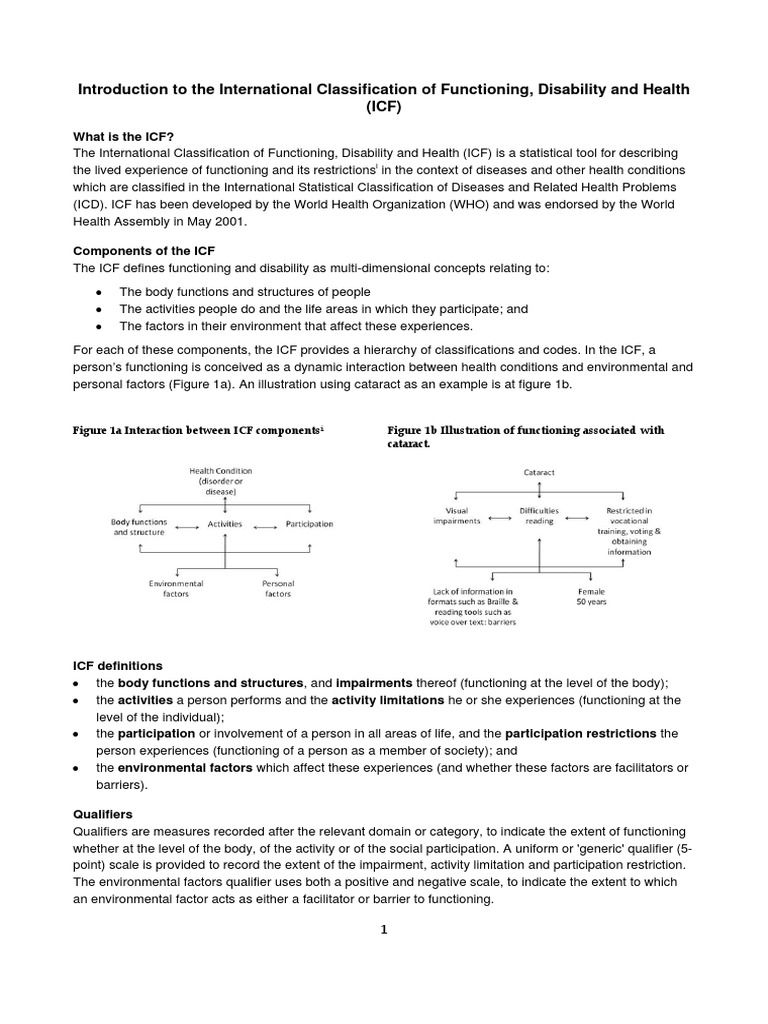 Understanding the ICF Framework | PDF | Science | Science And Technology
