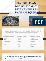 Cuentas PCGE actividades pesqueras