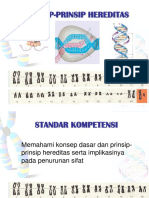 Kromosom & DNA (Biosel)