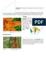 Angiosperms PDF