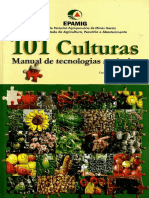 101 Culturas