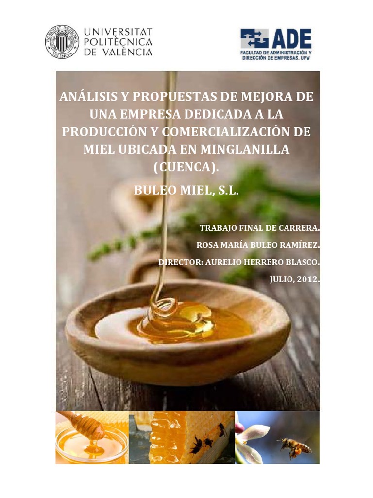 Manual Tecnología para La Apicultura | PDF | Capital de trabajo | Miel